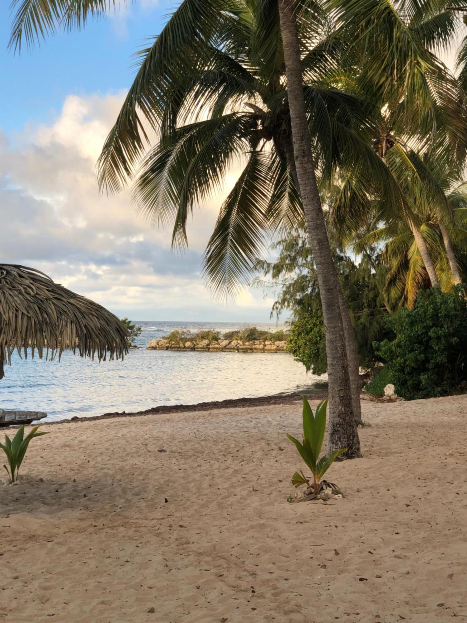 Studio Hibiscus Anse Des Rochers Saint Francois Экстерьер фото