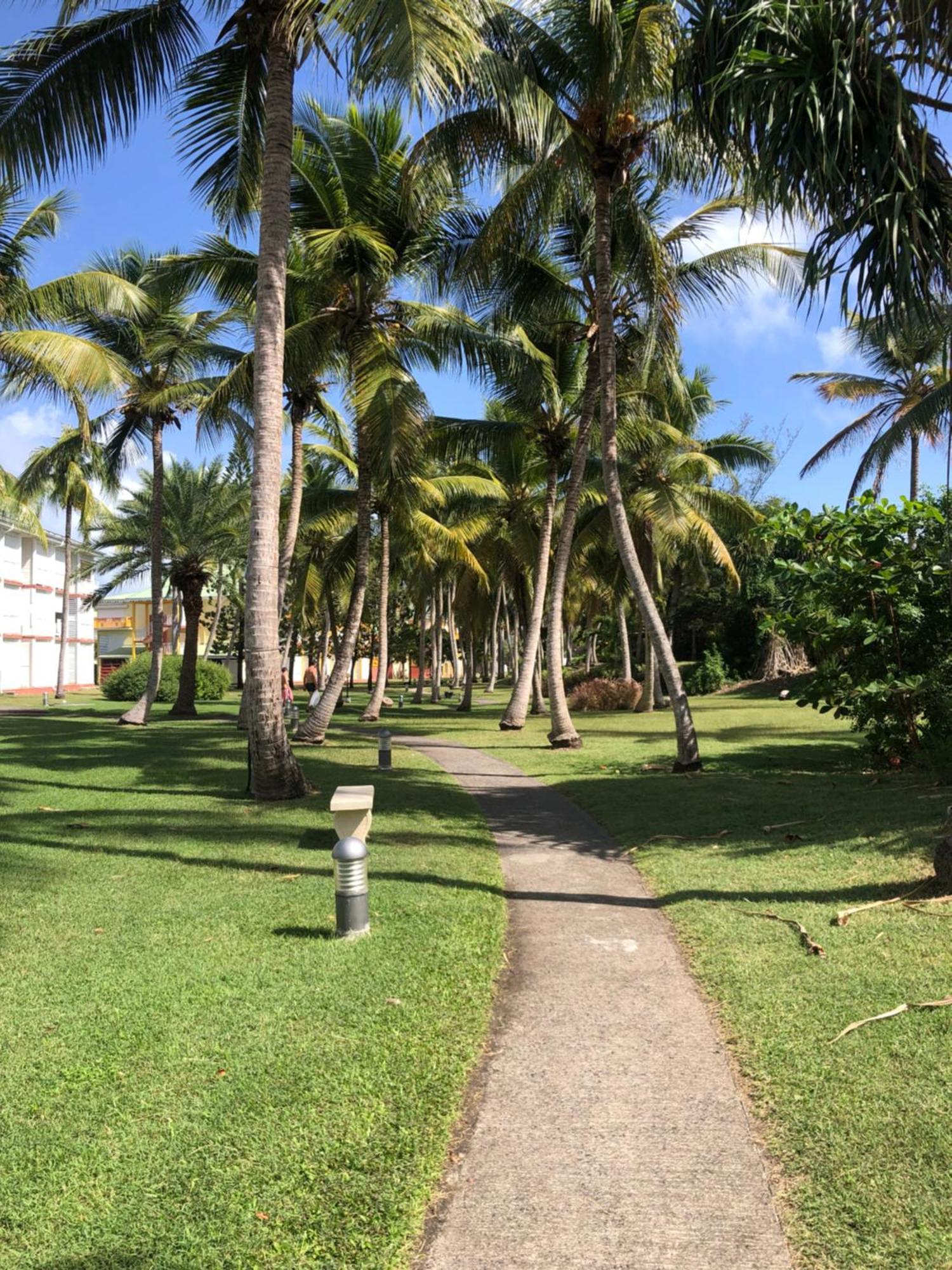 Studio Hibiscus Anse Des Rochers Saint Francois Экстерьер фото