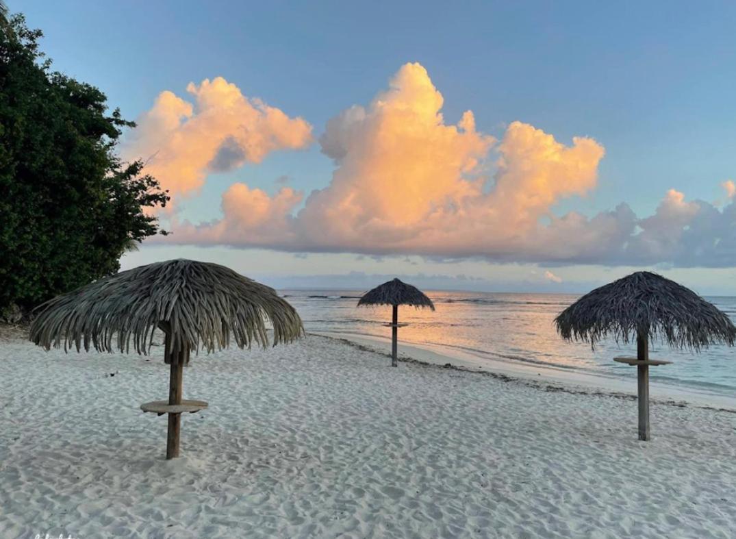 Studio Hibiscus Anse Des Rochers Saint Francois Экстерьер фото
