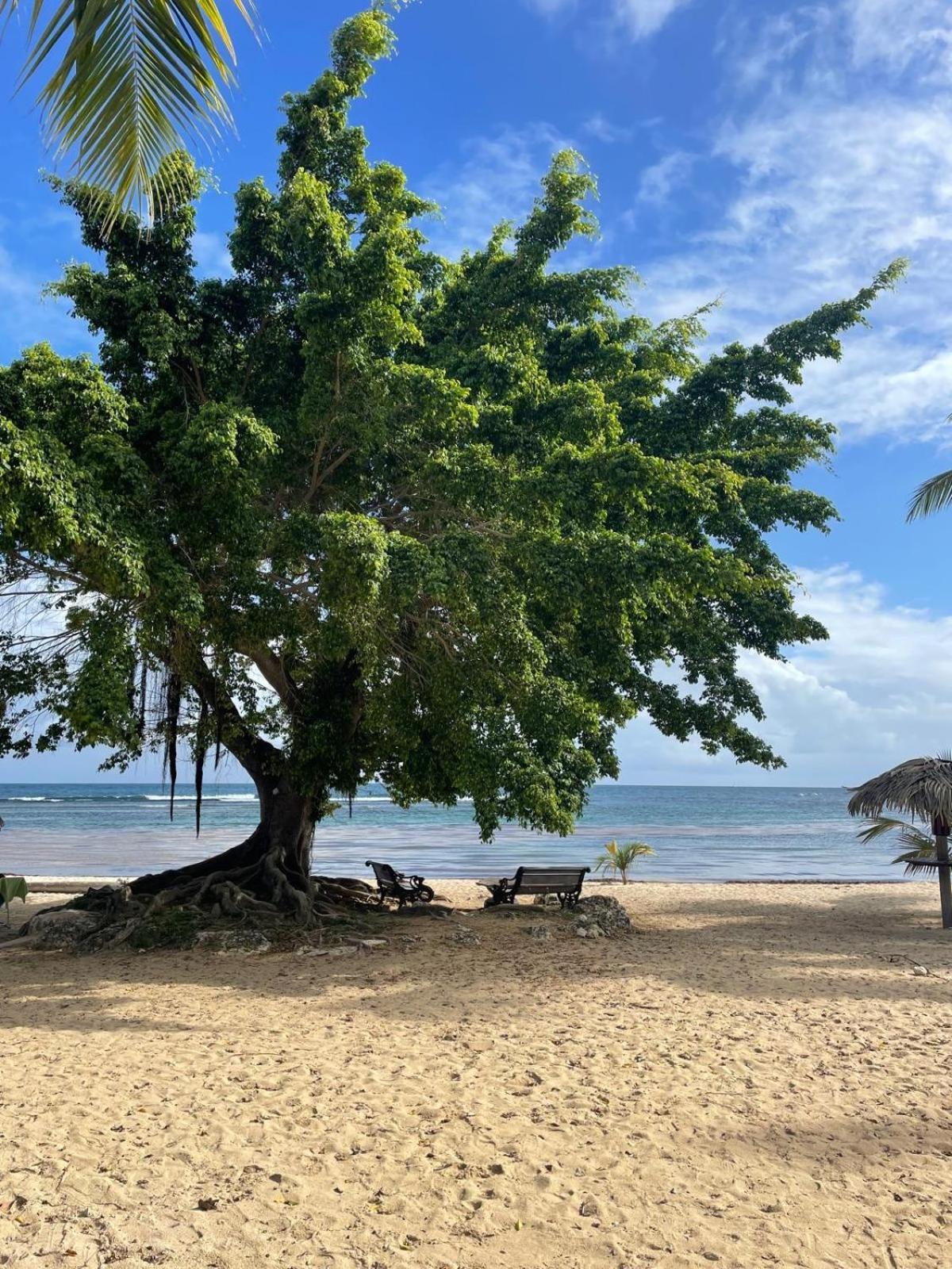 Studio Hibiscus Anse Des Rochers Saint Francois Экстерьер фото