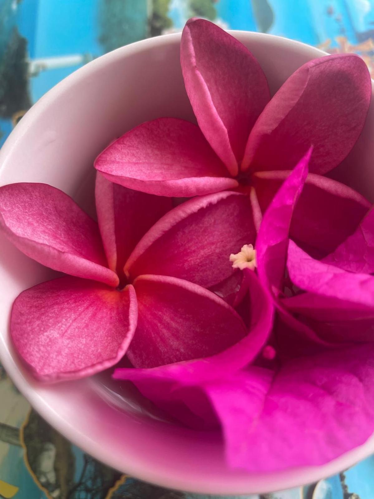 Studio Hibiscus Anse Des Rochers Saint Francois Экстерьер фото