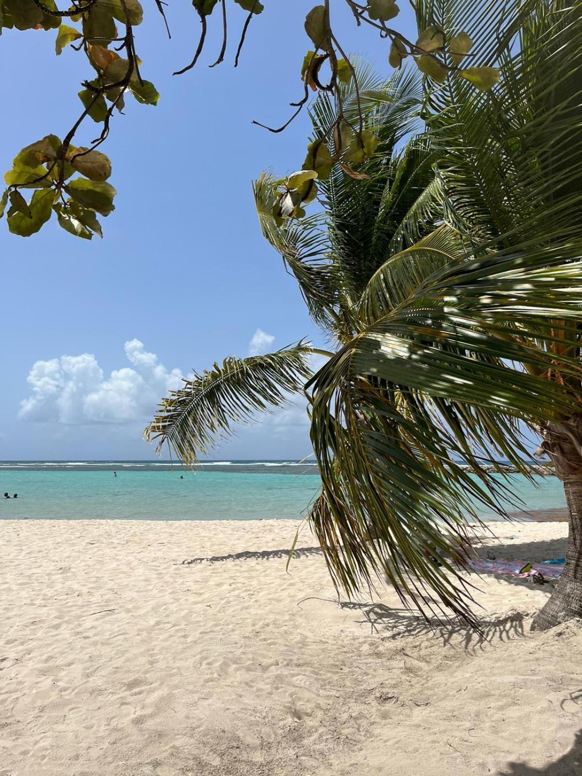 Studio Hibiscus Anse Des Rochers Saint Francois Экстерьер фото